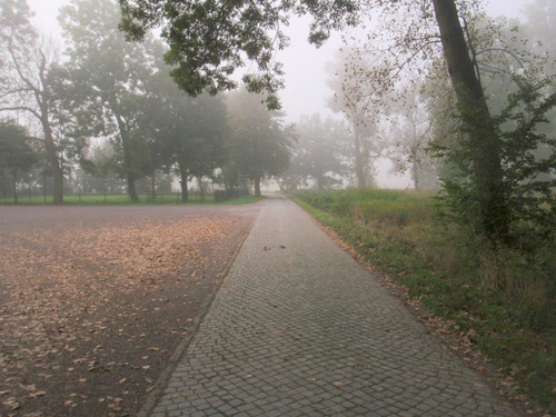 There is a morning fog.